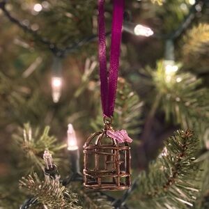 Taylor Swift Inspired handmade Speak Now Birdcage Christmas Ornament